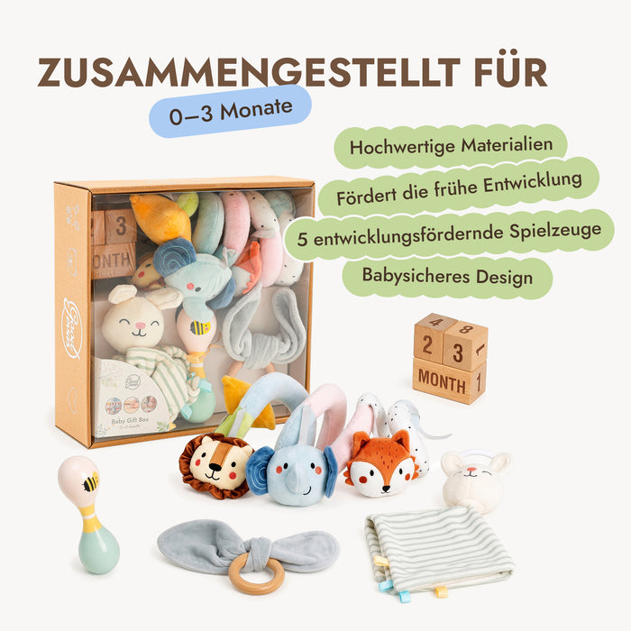 BabyBox – Spielsets für Babys im ersten Lebensjahr (0–12 Monate)