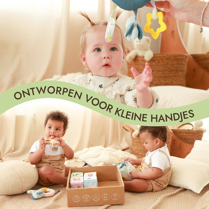 BabyBox – Spielsets für das erste Lebensjahr (0–12 Monate) - Goodevas DE