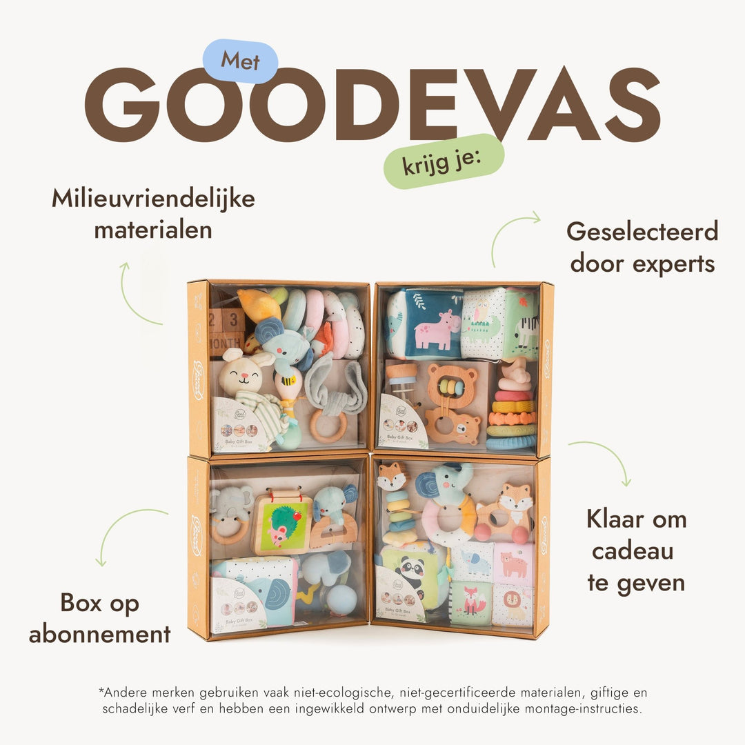 BabyBox – Spielsets für das erste Lebensjahr (0–12 Monate) - Goodevas DE