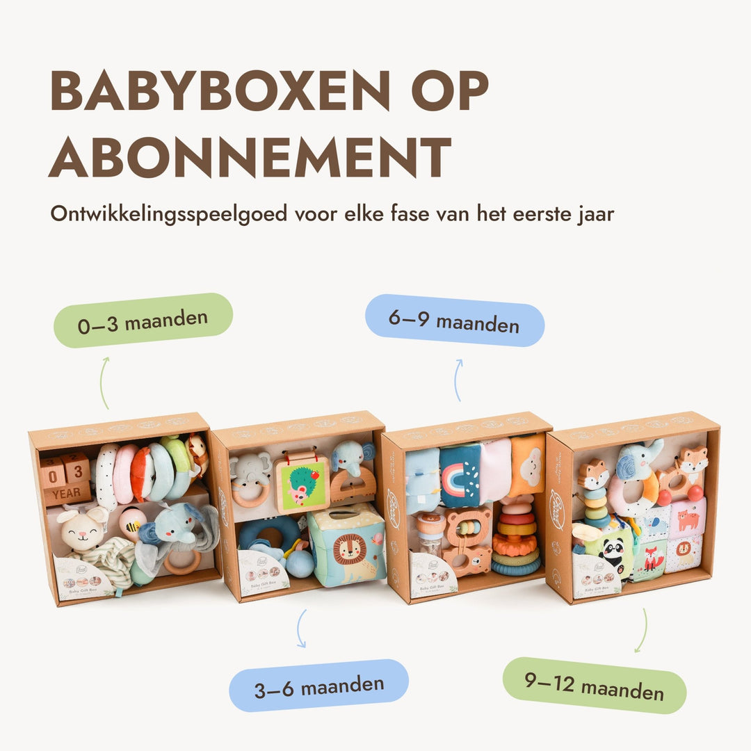 BabyBox – Spielsets für das erste Lebensjahr (0–12 Monate) - Goodevas DE