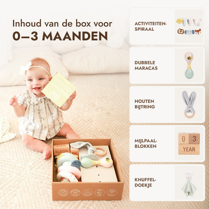 BabyBox – Spielsets für das erste Lebensjahr (0–12 Monate) - Goodevas DE