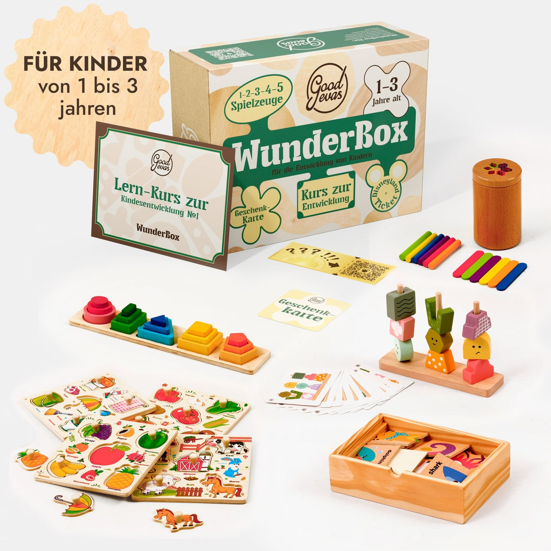 WunderBox 13 Jahre Lernbox mit Spielzeug & Elternkurs WunderBox 13 Jahre Lernbox mit Spielzeug & Elternkurs