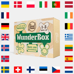 WunderBox 1 - 3 Jahre - Entwicklungsboxen für die Kleinsten - Goodevas Deutschland