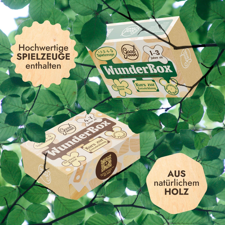 WunderBox 4 - 7 Jahre - Entwicklung im Spielformat - Goodevas Deutschland