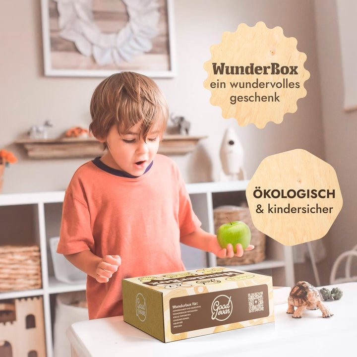 WunderBox 4 - 7 Jahre - Entwicklung im Spielformat - Goodevas Deutschland